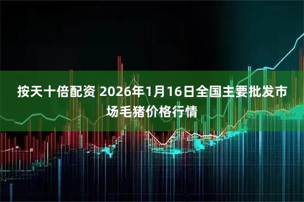 按天十倍配资 2026年1月16日全国主要批发市场毛猪价格行情