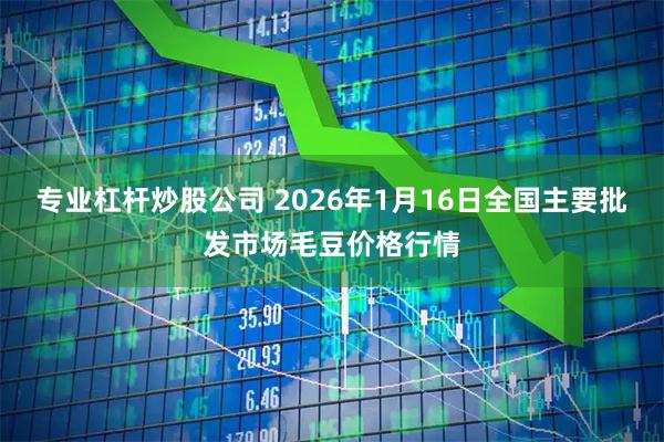 专业杠杆炒股公司 2026年1月16日全国主要批发市场毛豆价格行情